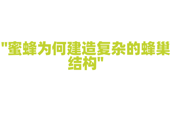 "蜜蜂为何建造复杂的蜂巢结构"
